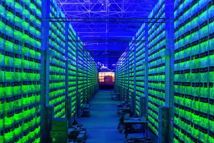 A well-organized mining farm filled with rows of mining rigs.