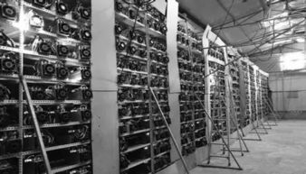State-of-the-art mining farm hosting multiple rigs in Australia